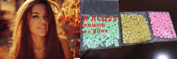 амф Ельня