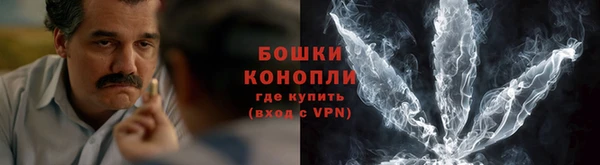 амф Ельня