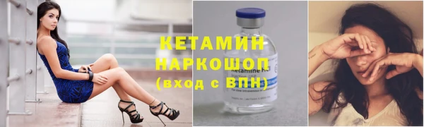 амф Ельня