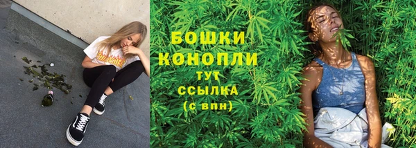 амф Ельня