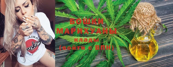амф Ельня