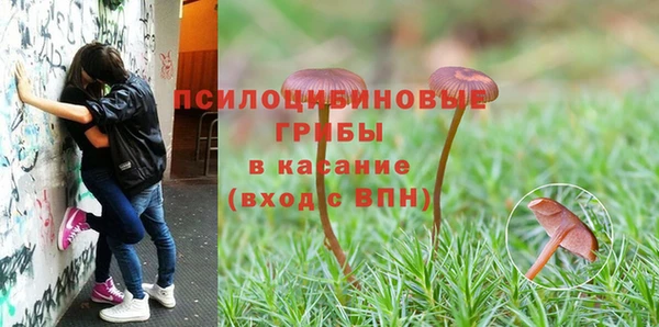 амф Ельня