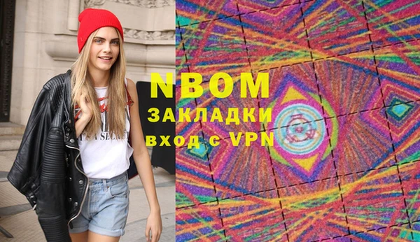 амф Ельня