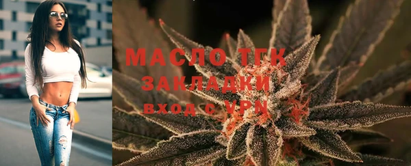 амф Ельня