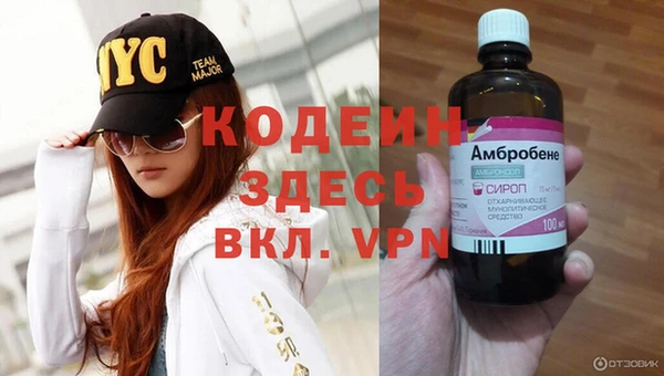 амф Ельня