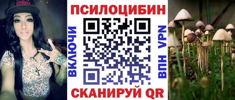 площадка клад Пятигорск Галлюциногенные грибы ЛСД